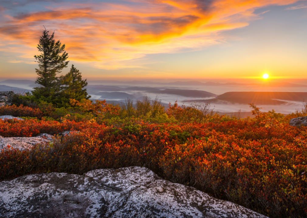 #51. West Virginia